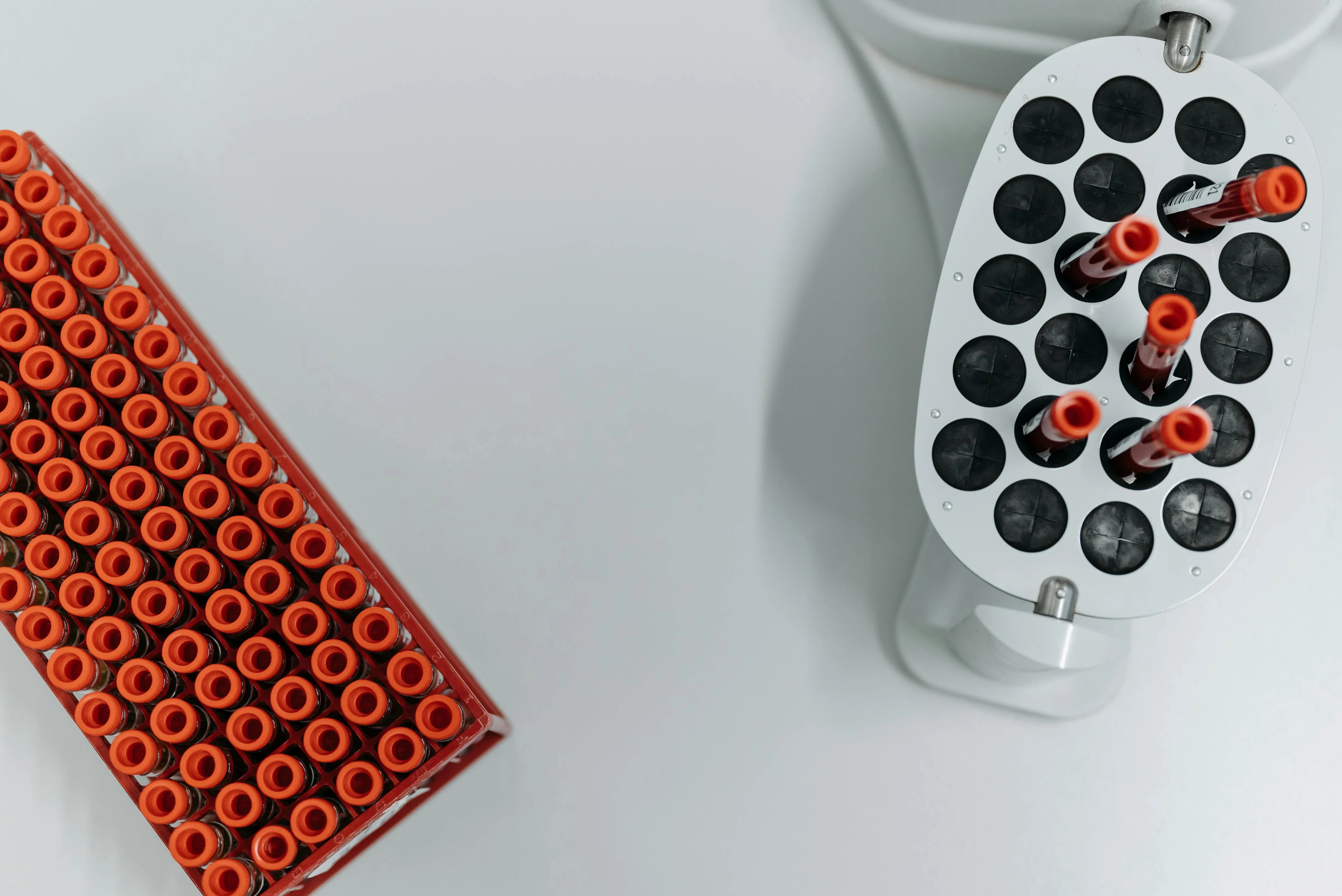 Turîst li Kurdistanê